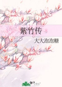 紫竹传