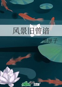 风景旧曾谙