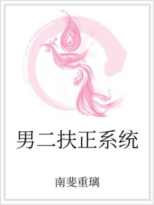 男二扶正系统